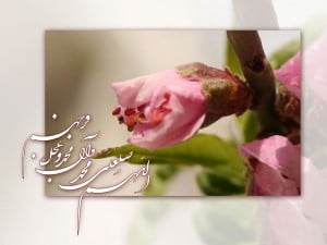 ramezan.com_salavat (12)
