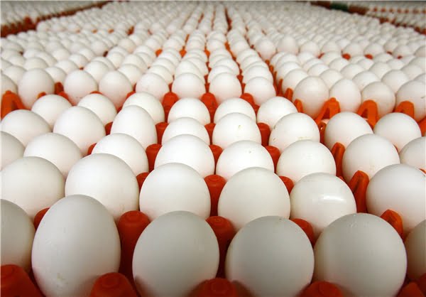 تخم‌مرغ در رمضان ارزان می‌شود