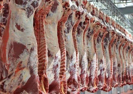 تا ماه مبارک رمضان گوشت ارزان می‌شود/ گرانی گوشت موقتی است
