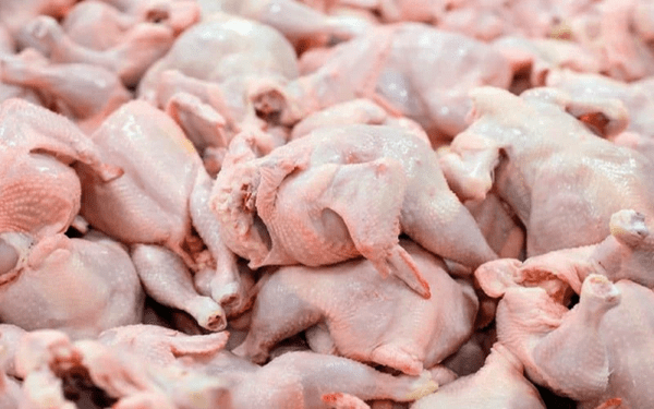 اتحادیه مرغداران گوشتی: گوشت مرغ ماه رمضان تامین است