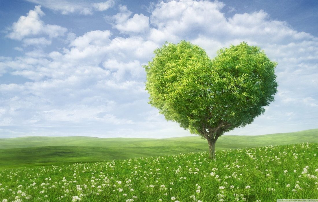 زمین مرده با بهار و دل‌های مرده با رمضان بیدار می‌شود