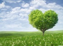 زمین مرده با بهار و دل‌های مرده با رمضان بیدار می‌شود